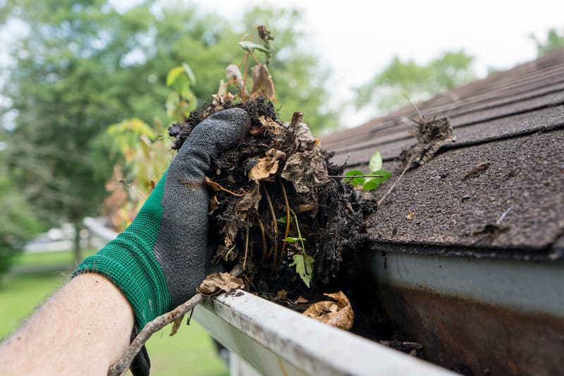 Gutter cleaning and maintenance